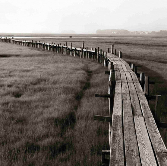 Kompatibel Landskab JAHRRIESNGE  til wooden-bridge-lpf00851 